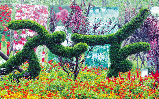 北京海淀公园的运动题材花卉造型.新华社发