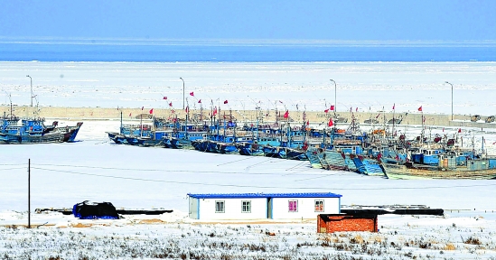 在辽宁营口鲅鱼圈渔港,数十条渔船被牢牢地冰封在海. .