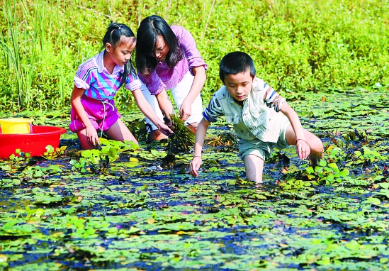 浙江日报数字报纸