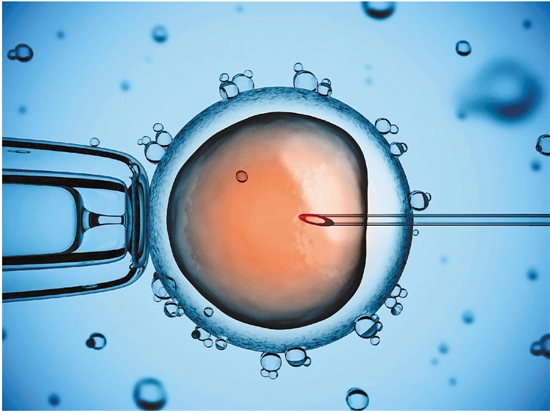 冷冻卵子技术往往和试管婴儿技术结合在一起.