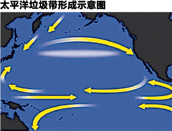 千岛寒流 北赤道暖流 太平洋垃圾带 北太平洋暖流 赤道逆流