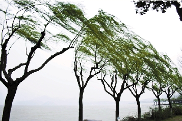浙江日报